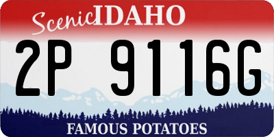 ID license plate 2P9116G
