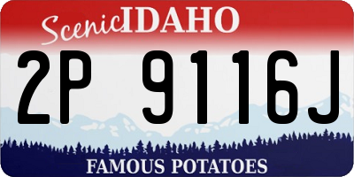 ID license plate 2P9116J
