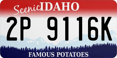 ID license plate 2P9116K