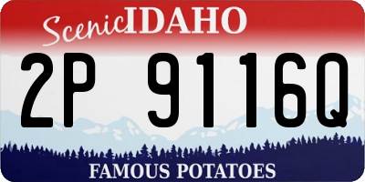 ID license plate 2P9116Q