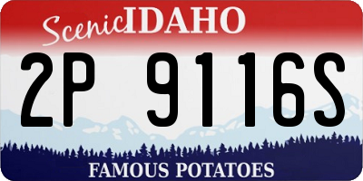 ID license plate 2P9116S