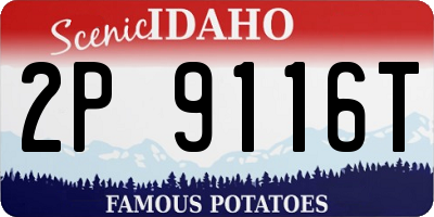 ID license plate 2P9116T
