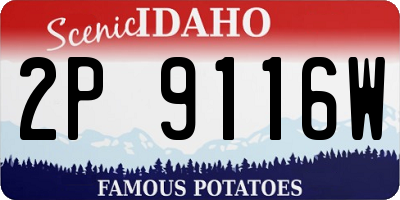 ID license plate 2P9116W