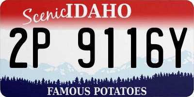 ID license plate 2P9116Y