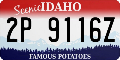 ID license plate 2P9116Z