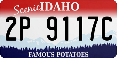 ID license plate 2P9117C