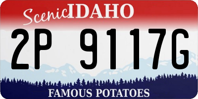 ID license plate 2P9117G
