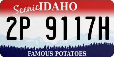 ID license plate 2P9117H