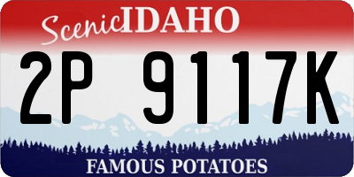 ID license plate 2P9117K