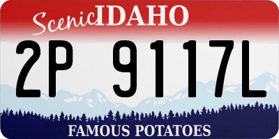 ID license plate 2P9117L