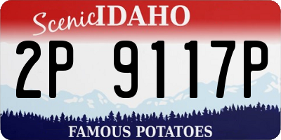 ID license plate 2P9117P