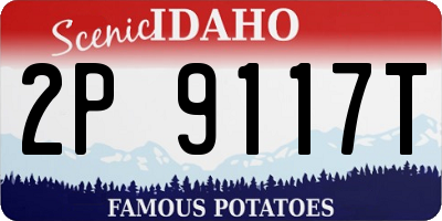 ID license plate 2P9117T