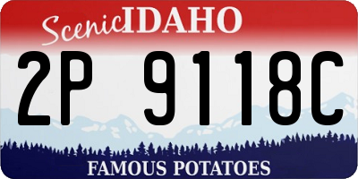 ID license plate 2P9118C