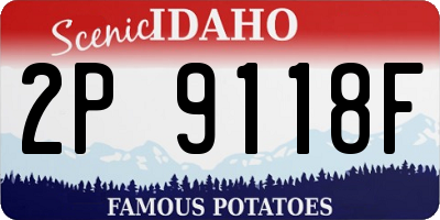 ID license plate 2P9118F