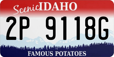 ID license plate 2P9118G
