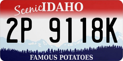 ID license plate 2P9118K