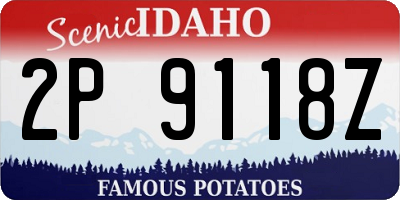 ID license plate 2P9118Z
