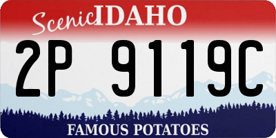 ID license plate 2P9119C