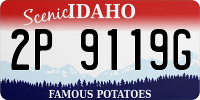 ID license plate 2P9119G