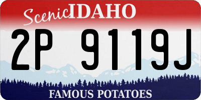 ID license plate 2P9119J