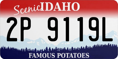 ID license plate 2P9119L