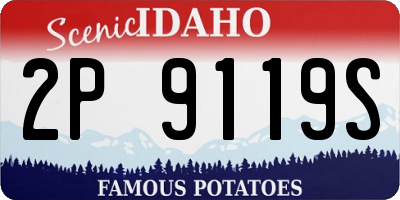 ID license plate 2P9119S