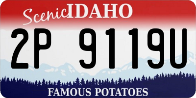 ID license plate 2P9119U