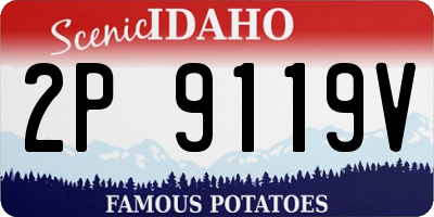 ID license plate 2P9119V