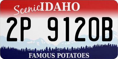 ID license plate 2P9120B
