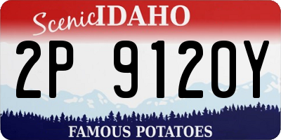 ID license plate 2P9120Y