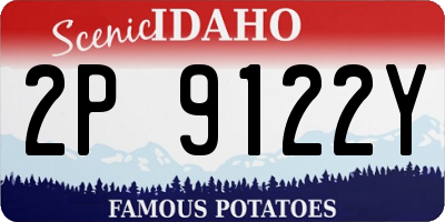 ID license plate 2P9122Y