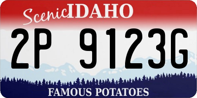 ID license plate 2P9123G