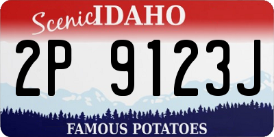 ID license plate 2P9123J