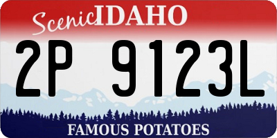 ID license plate 2P9123L