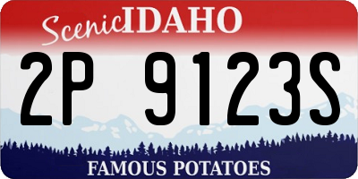 ID license plate 2P9123S