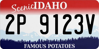 ID license plate 2P9123V