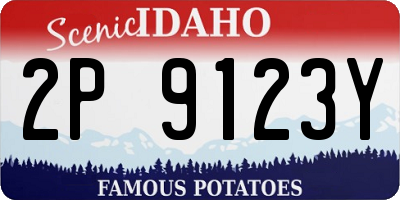 ID license plate 2P9123Y