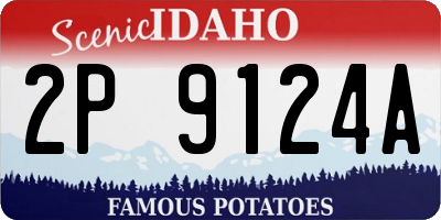 ID license plate 2P9124A