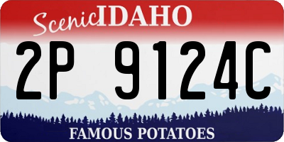 ID license plate 2P9124C