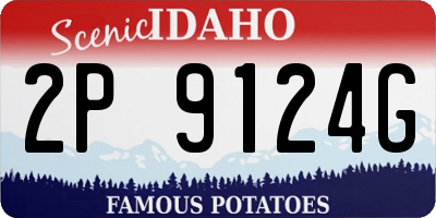 ID license plate 2P9124G