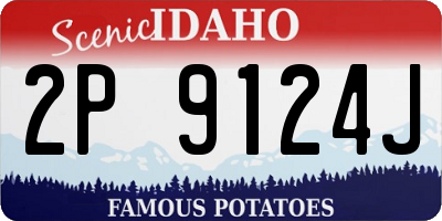 ID license plate 2P9124J
