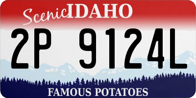 ID license plate 2P9124L