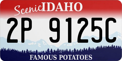 ID license plate 2P9125C