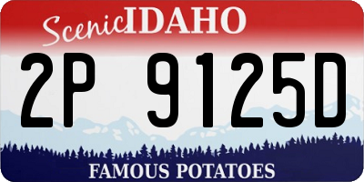 ID license plate 2P9125D