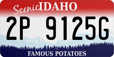 ID license plate 2P9125G