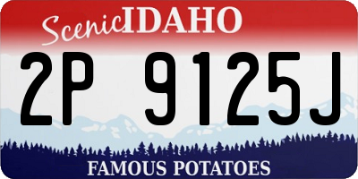 ID license plate 2P9125J