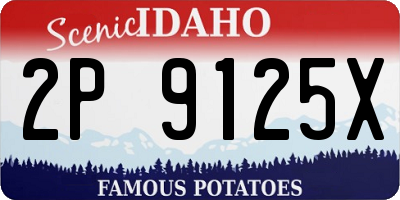 ID license plate 2P9125X