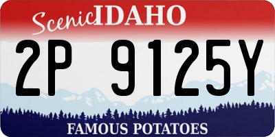 ID license plate 2P9125Y