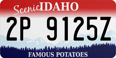 ID license plate 2P9125Z