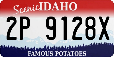 ID license plate 2P9128X